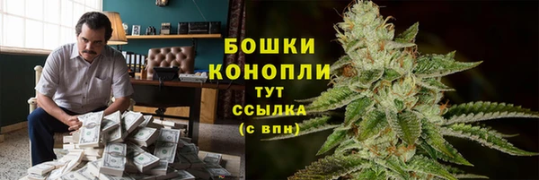 PSILOCYBIN Ладушкин